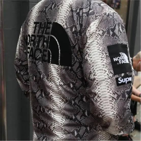 極美品 supreme シュプリーム THE NORTH FACEノースフェイス 極美品 supreme シュプリーム THE NORTH FACEノースフェイス