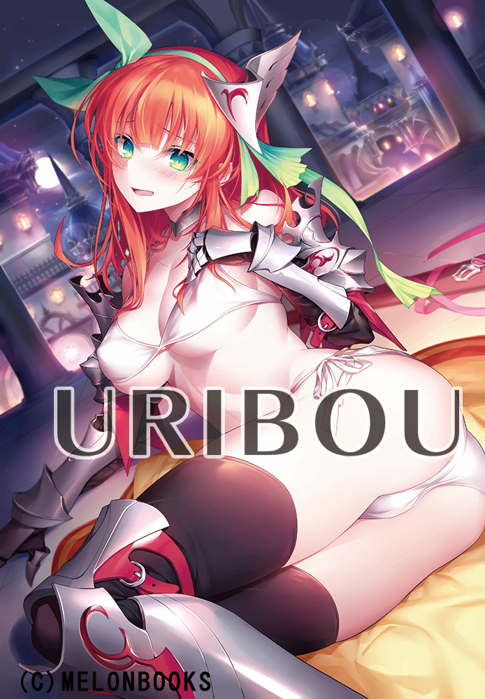 GH.K 光崎 B2Wスエードタペストリー 光崎【C101 Memorial画集】【正規品未開封】Kousaki