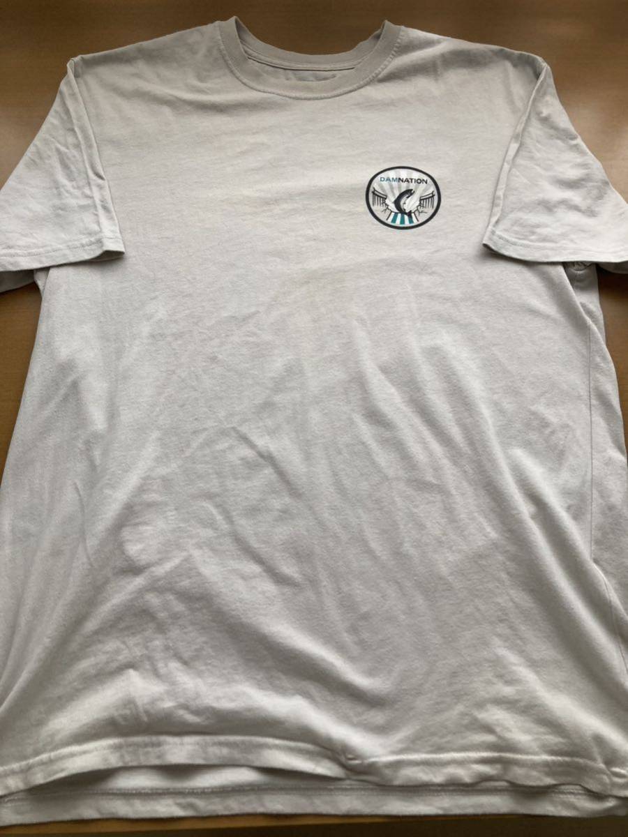 USA製 patagonia S/S TEE DAMNATION半袖Tシャツ Lsize パタゴニア_画像2