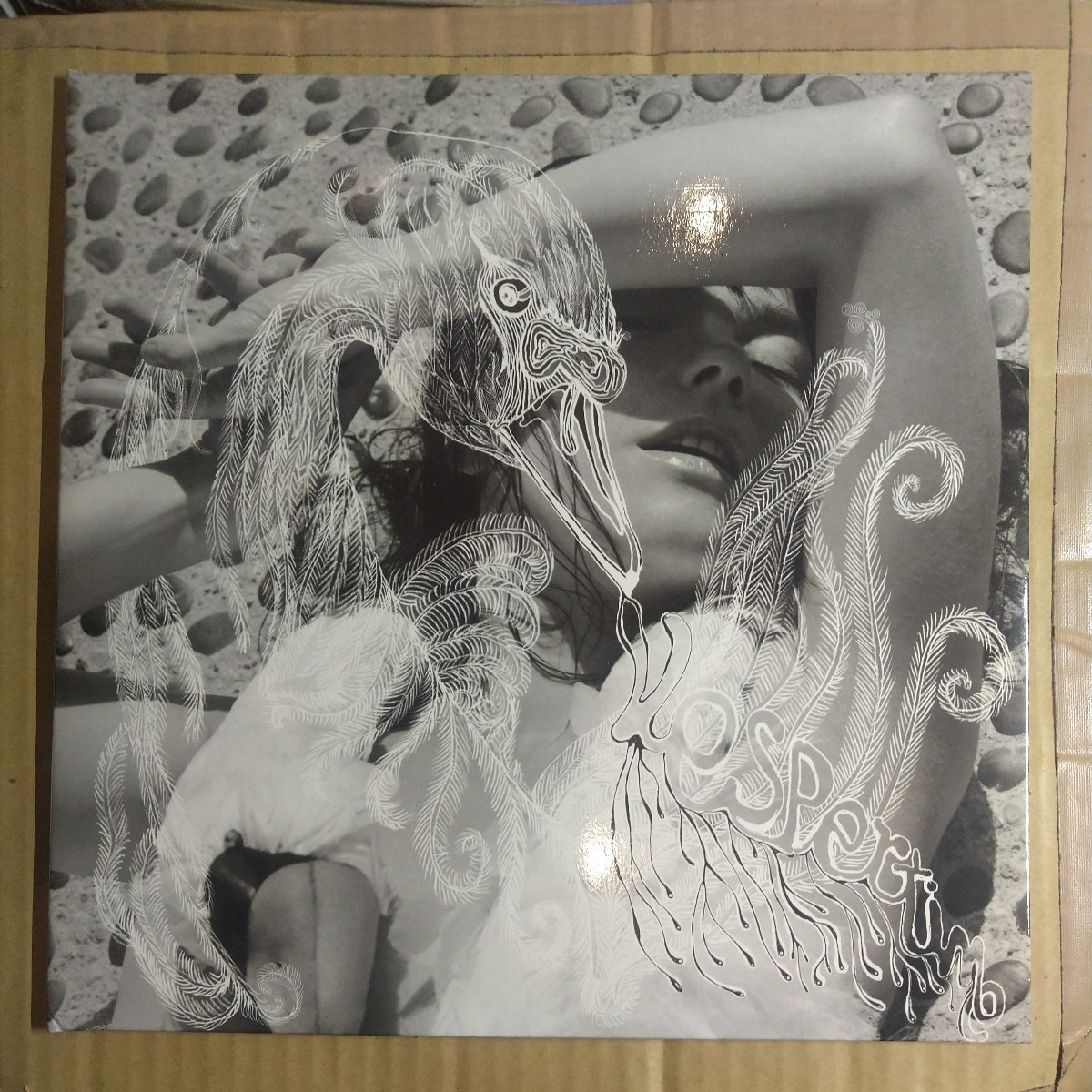 Bjork「vespertine」邦2枚組LP 日本語インサートありelectro Idm