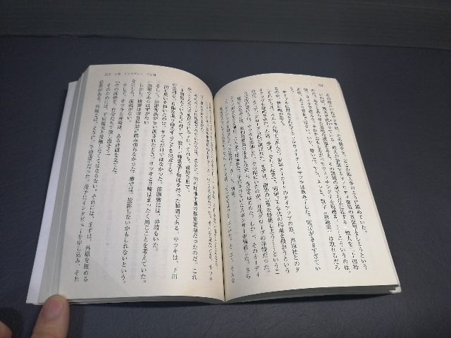 即決 インタビュー・イン・セル　殺人鬼フジコの真実 （徳間文庫　ま１９－３） 真梨幸子 送料208円_画像3