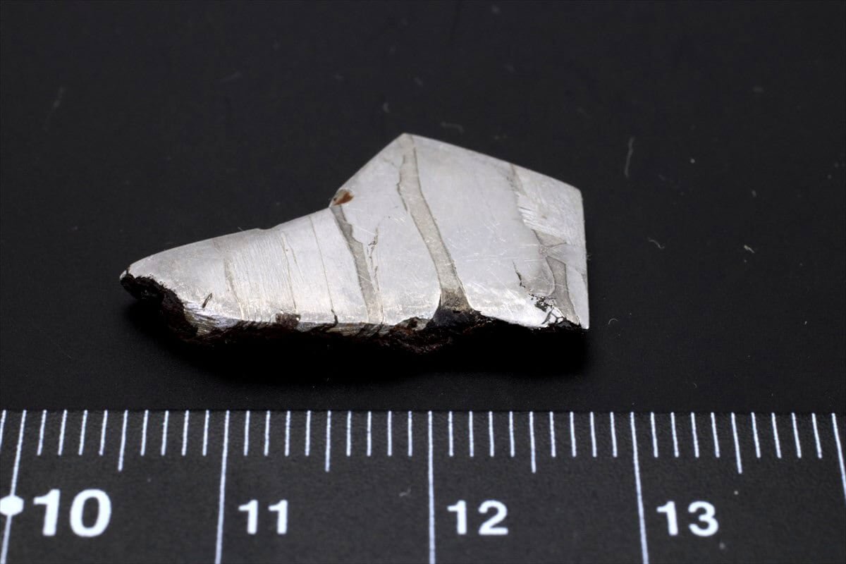 セイムチャン 4.5g スライス カット 標本 石鉄 隕石 パラサイト Seymchan 41の画像3