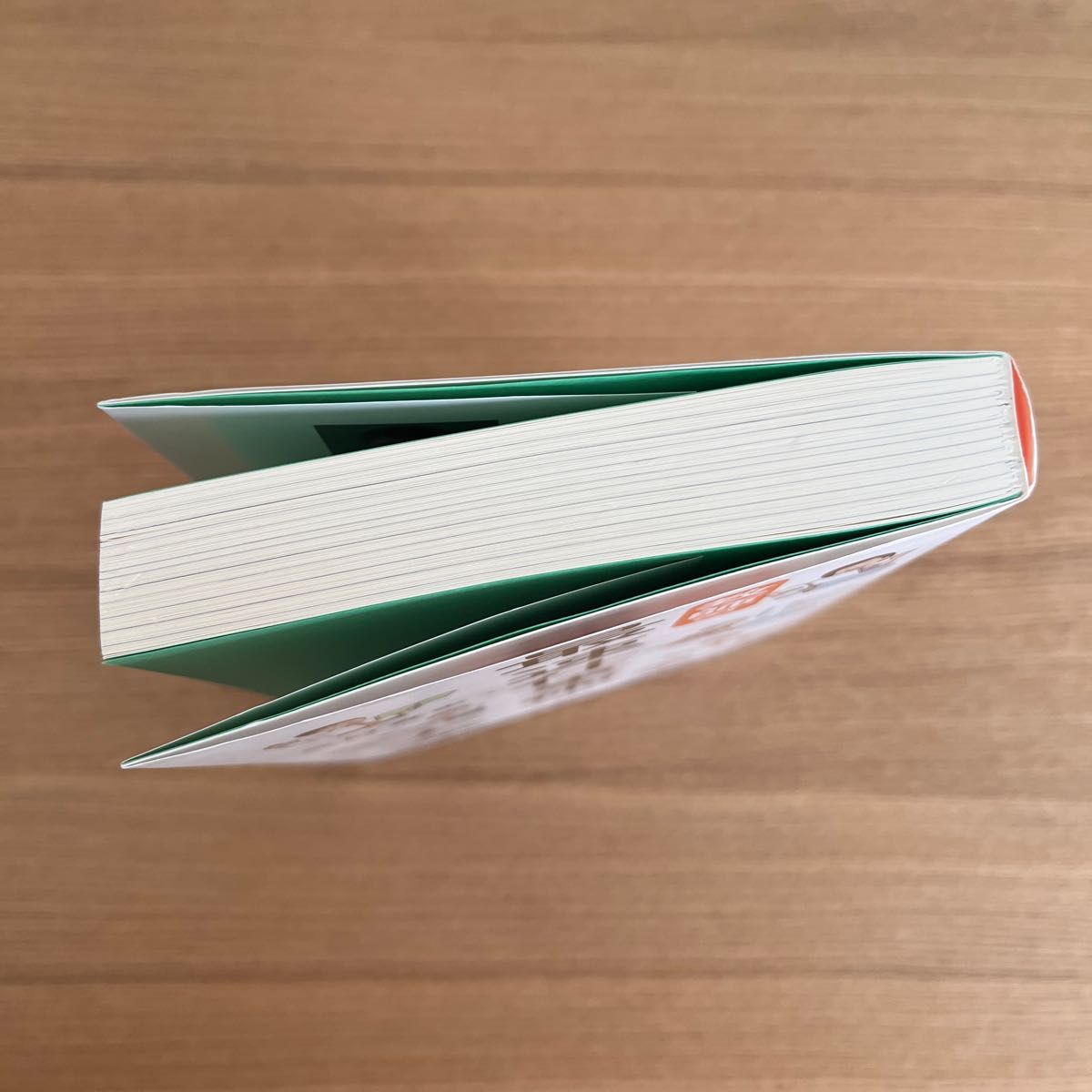 教師の最速仕事術大全 三好 真史 著