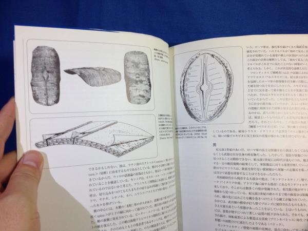 共和制ローマの軍隊200BC‐104BC 地中海の覇者 オスプレイメンアットアームズシリーズ 4775300288 軍団レギオの組織 歩兵の装備 戦術_画像3