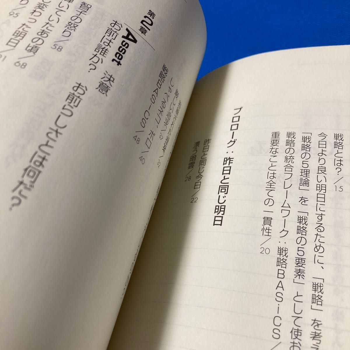 白いネコは何をくれた？　「言葉を話すネコ」ボロが教える人生を変えるマーケティング戦略 佐藤義典／著