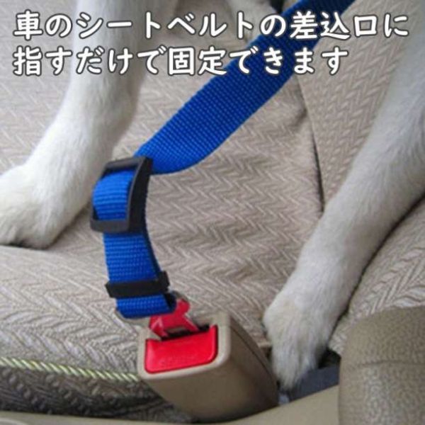犬 猫 シートベルト ブラック ペット ドライブ 車 リード ゲージ_画像2