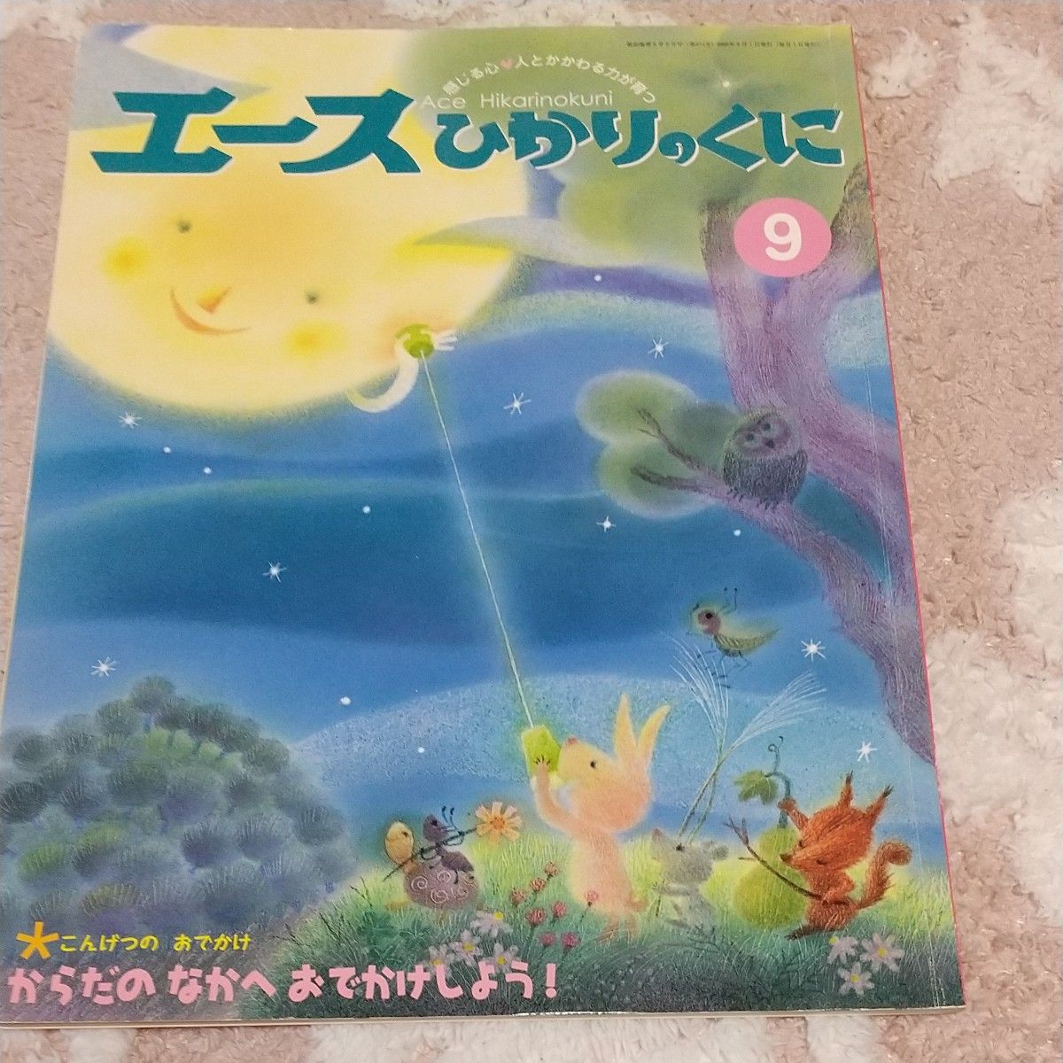 キンダーブック ひかりのくに なかよしメイト すきっぷ 5冊 キンダーブック ひかりのくに なかよしメイト すきっぷ 5冊