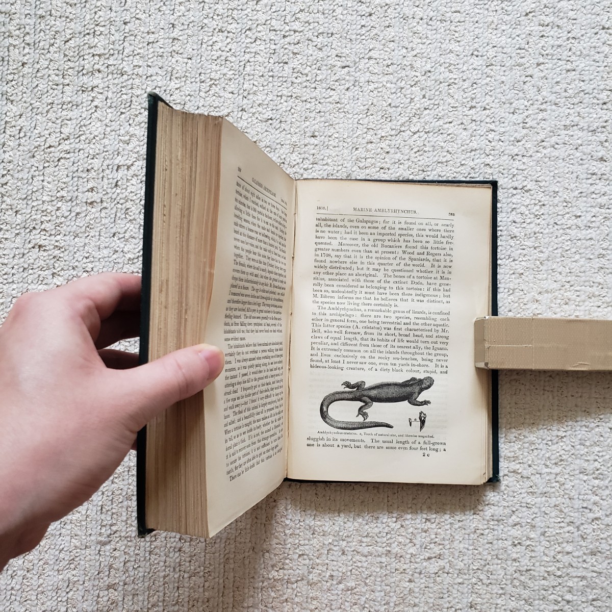1889年 チャールズ・ダーウィン『ビーグル号航海記』 - 生物学 1889年 チャールズ・ダーウィン『ビーグル号航海記』 - 生物学