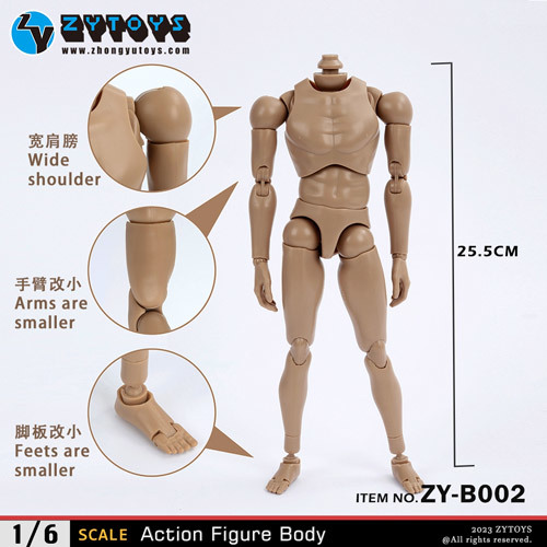 ZYTOYS ZY-B002 ワイドショルダー ボディ 1/6スケールフィギュア 男性