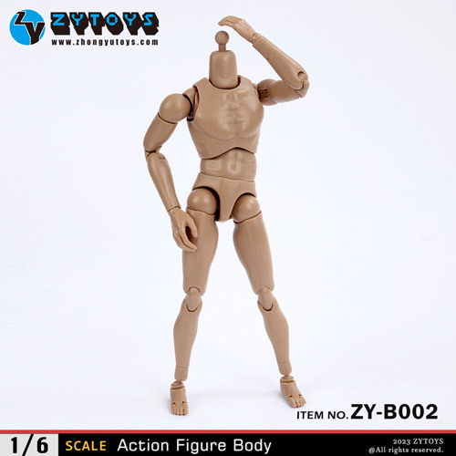 ZYTOYS ZY-B002 ワイドショルダー ボディ 1/6スケールフィギュア 男性