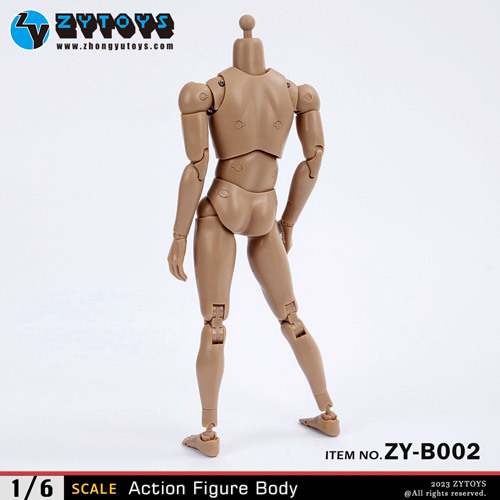 ZYTOYS ZY-B002 ワイドショルダー ボディ 1/6スケールフィギュア 男性