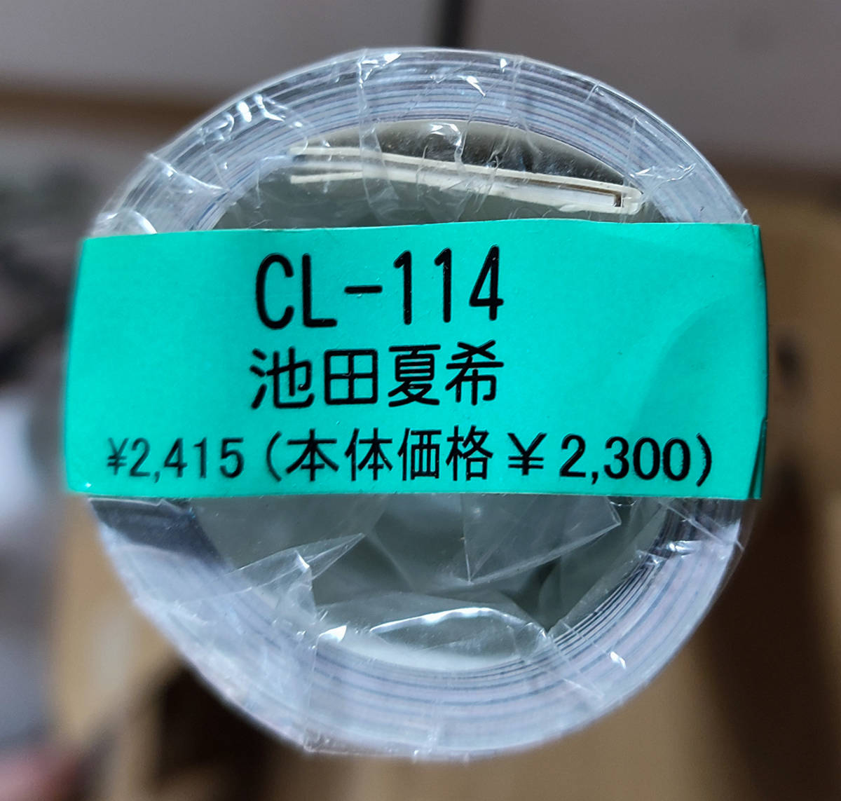 2024年のクリスマスの特別な衣装 送料無料即決!新品未開封 池田夏希 TRY-X 8枚綴り。新品未開封美品。ハゴロモ B2サイズ 2010年 カレンダー 芸能人、タレント