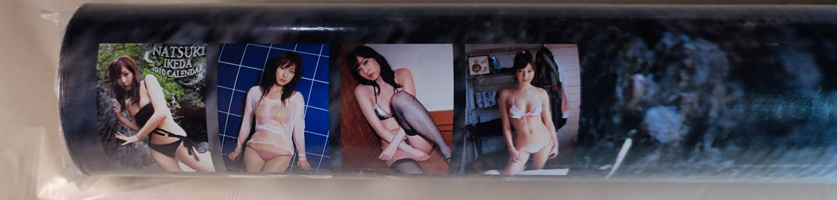 送料無料即決！新品未開封 池田夏希 2010年　カレンダー B2サイズ ８枚綴り。新品未開封美品。ハゴロモ TRY-X