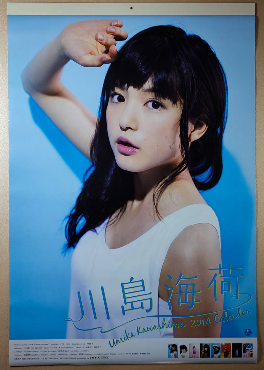 送料無料即決!川島海荷 2014年 カレンダー B2サイズ 8枚綴り。未使用美品。ハゴロモ TRY-X