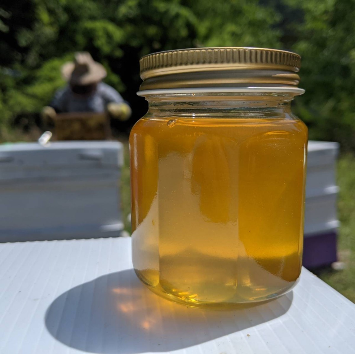 百花蜂蜜 新蜜 生はちみつ 2023年4 27採蜜 150gを4本 蜂蜜 はちみつ
