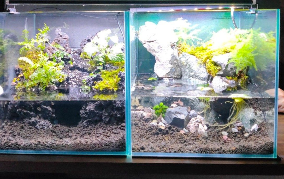 龍王石・渓流石の30cmアクアテラリウム | www.unimerfertilizzanti.it