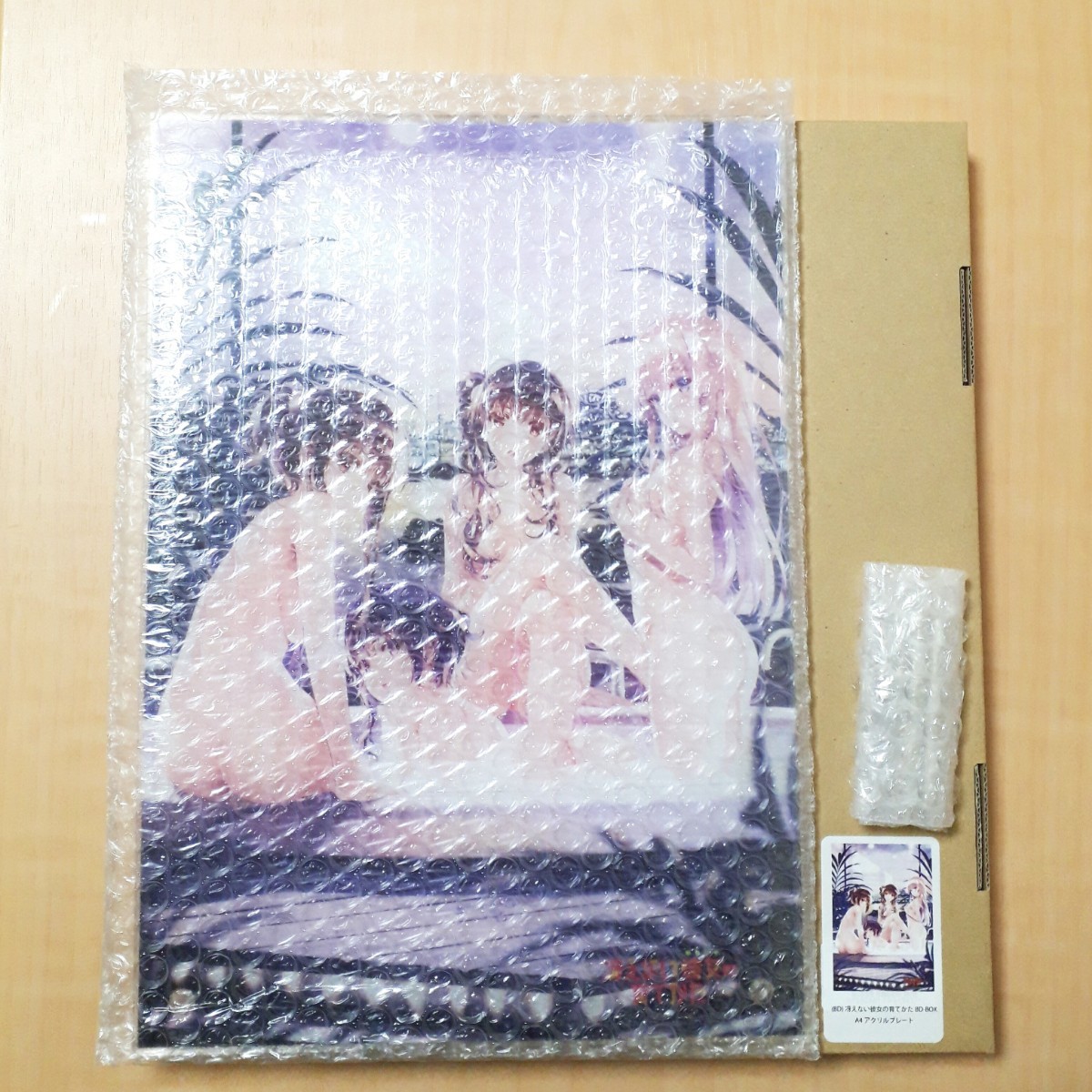 冴えない彼女の育てかた BD BOX とらのあな 購入特典 A4 アクリル