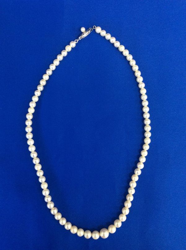 【高額売筋】 真珠 パール 管42955811 女性 アクセサリー 長さ40cm 直径4.81㎜〜7.88㎜ ケース付き 芝翫香 silver シルバー ネックレス グラデーション その他 【高額売筋】 真珠 パール 管42955811 女性 アクセサリー 長さ40cm 直径4.81㎜〜7.88㎜ ケース付き 芝翫香 silver シルバー ネックレス グラデーション その他