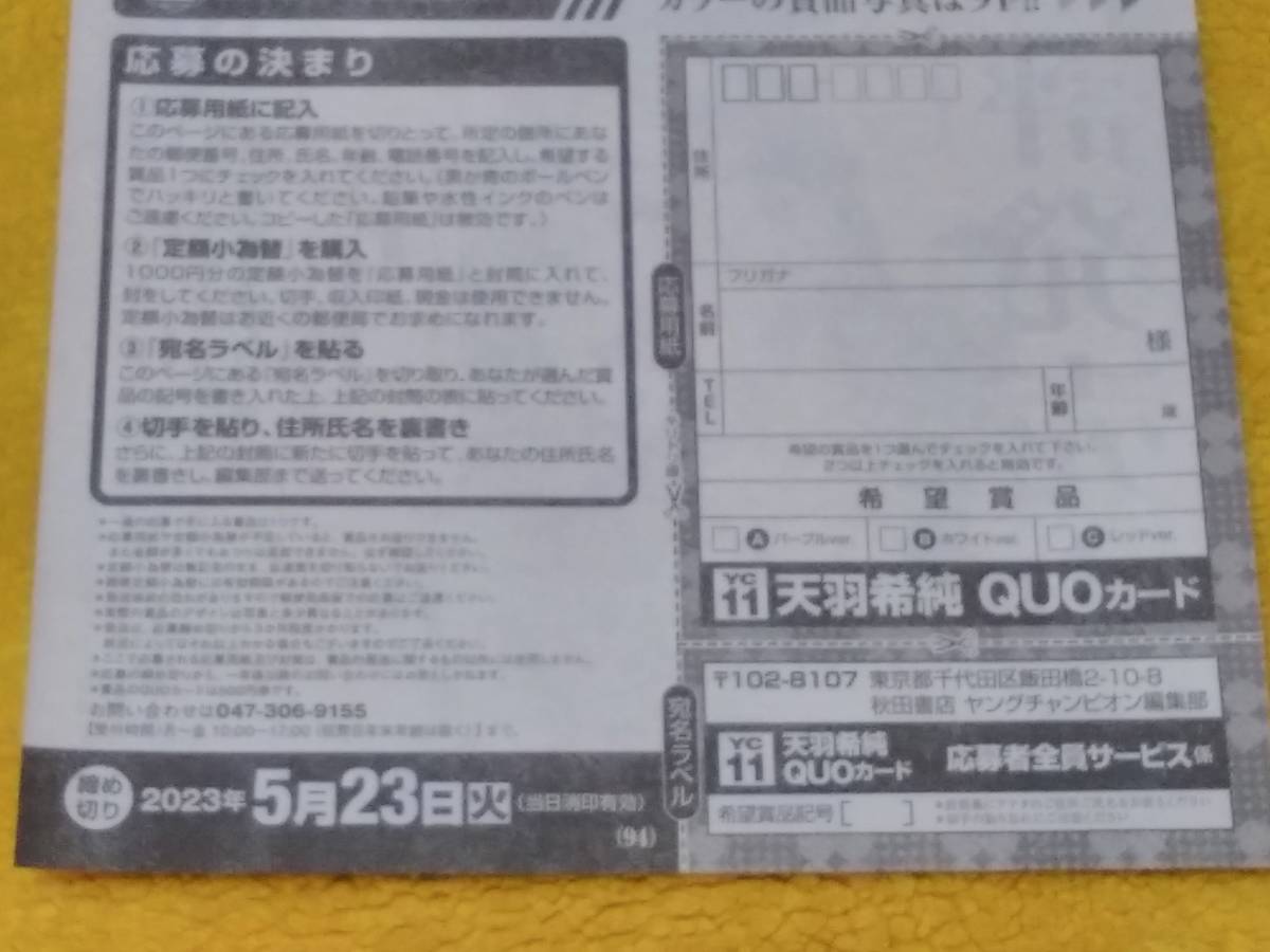 ヤングチャンピオン　2023年　NO.11　天羽希純　QUOカード応募者全員サービス　応募用紙