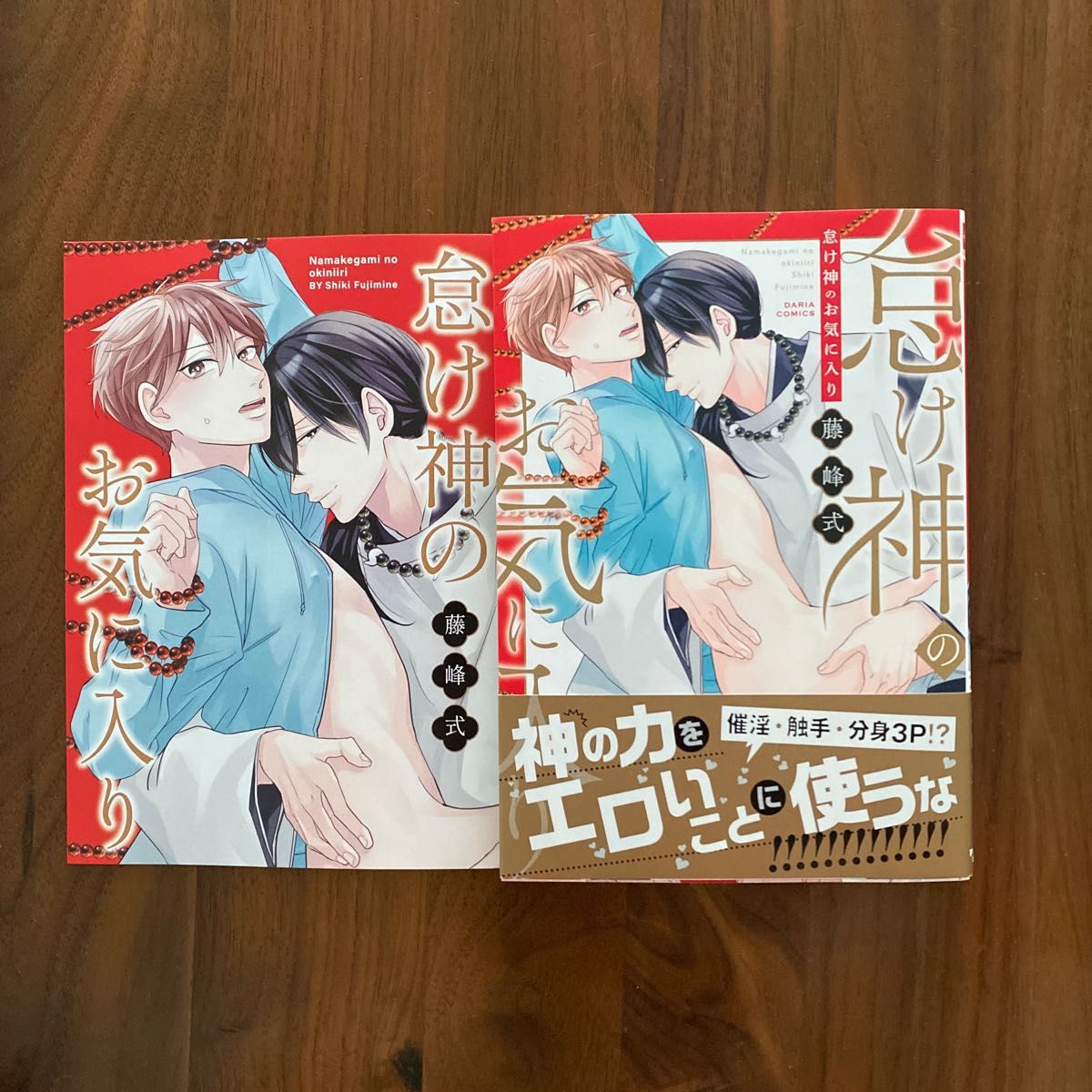 怠け神のお気に入り （有償特典小冊子付） 藤峰式