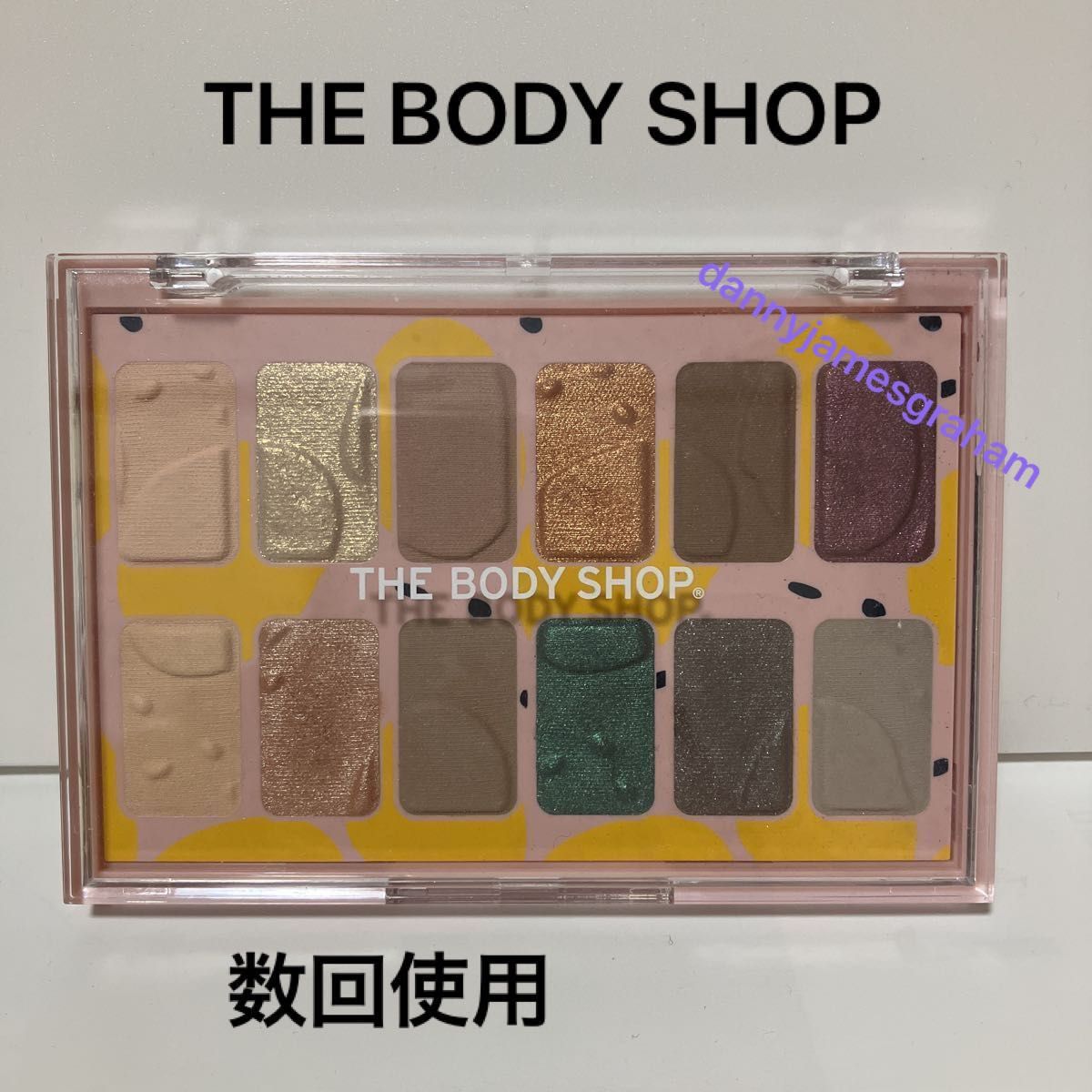 ボディショップ アイカラー THE BODY SHOP  アイシャドウパレット ペイントインカラー 化粧品 アイメイク 12色 