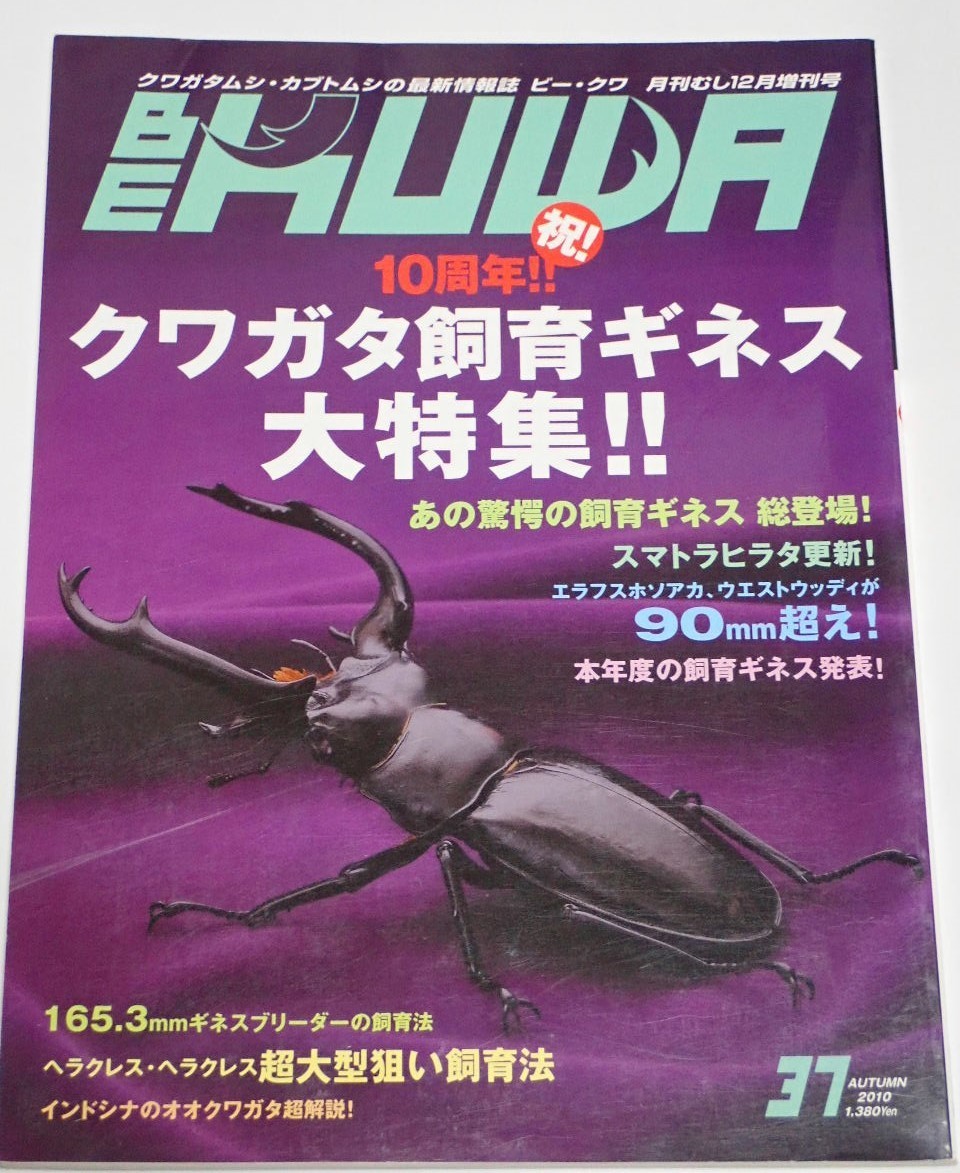 むし社 BE KUWA ビークワ No.37■クワガタ飼育ギネス大特集｜エラフスホソアカ・ウエストウッディ90㎜超え／インドシナのクワガタ超解説_画像1