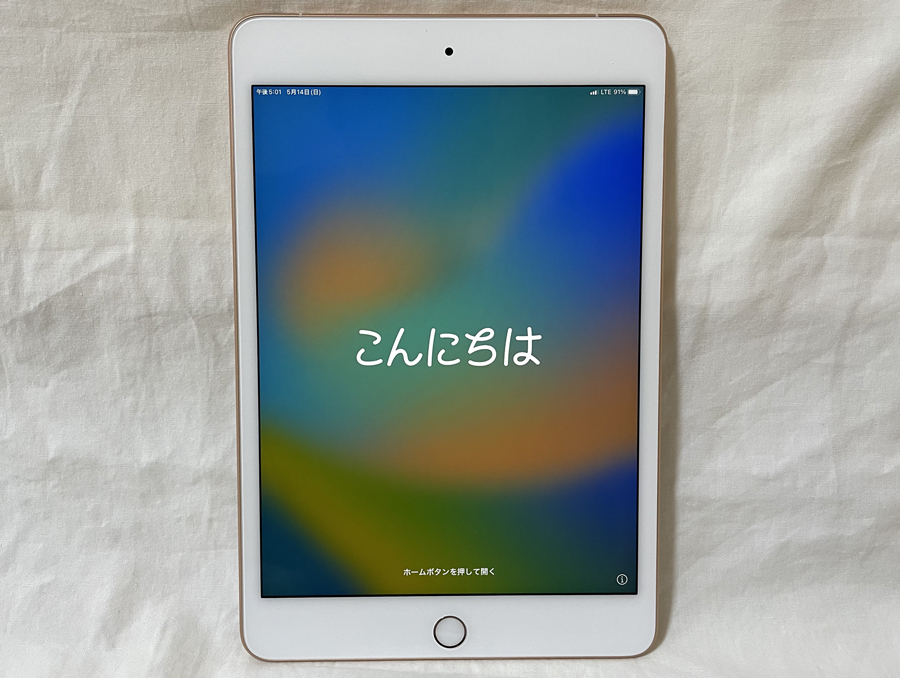 送料無料】Apple 7.9インチiPad mini 第5世代Wi-Fi+Cellular 256GB