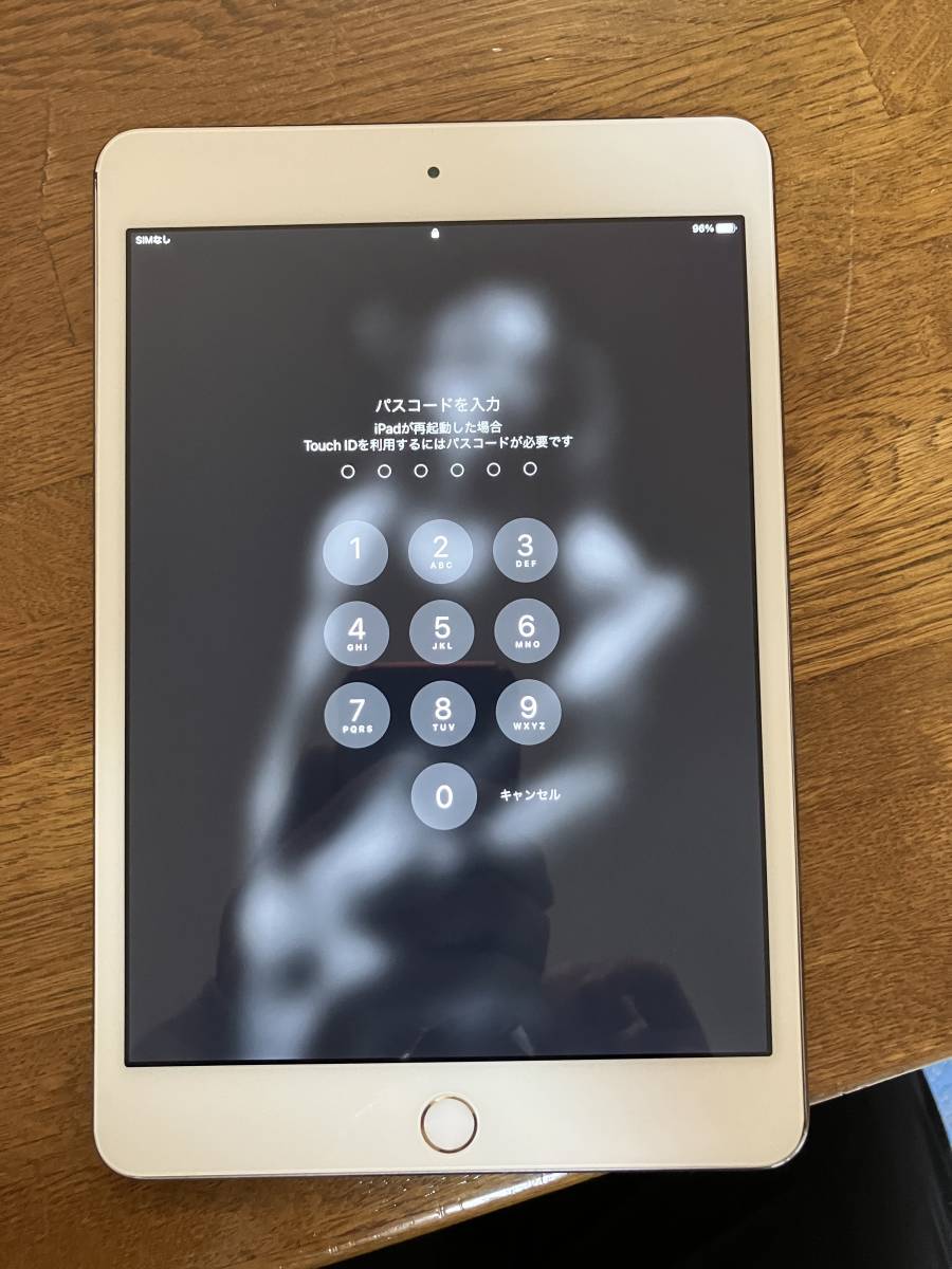 ジャンク品 iPad mini 4 16GB A1550 | www.psychologiesport.fr