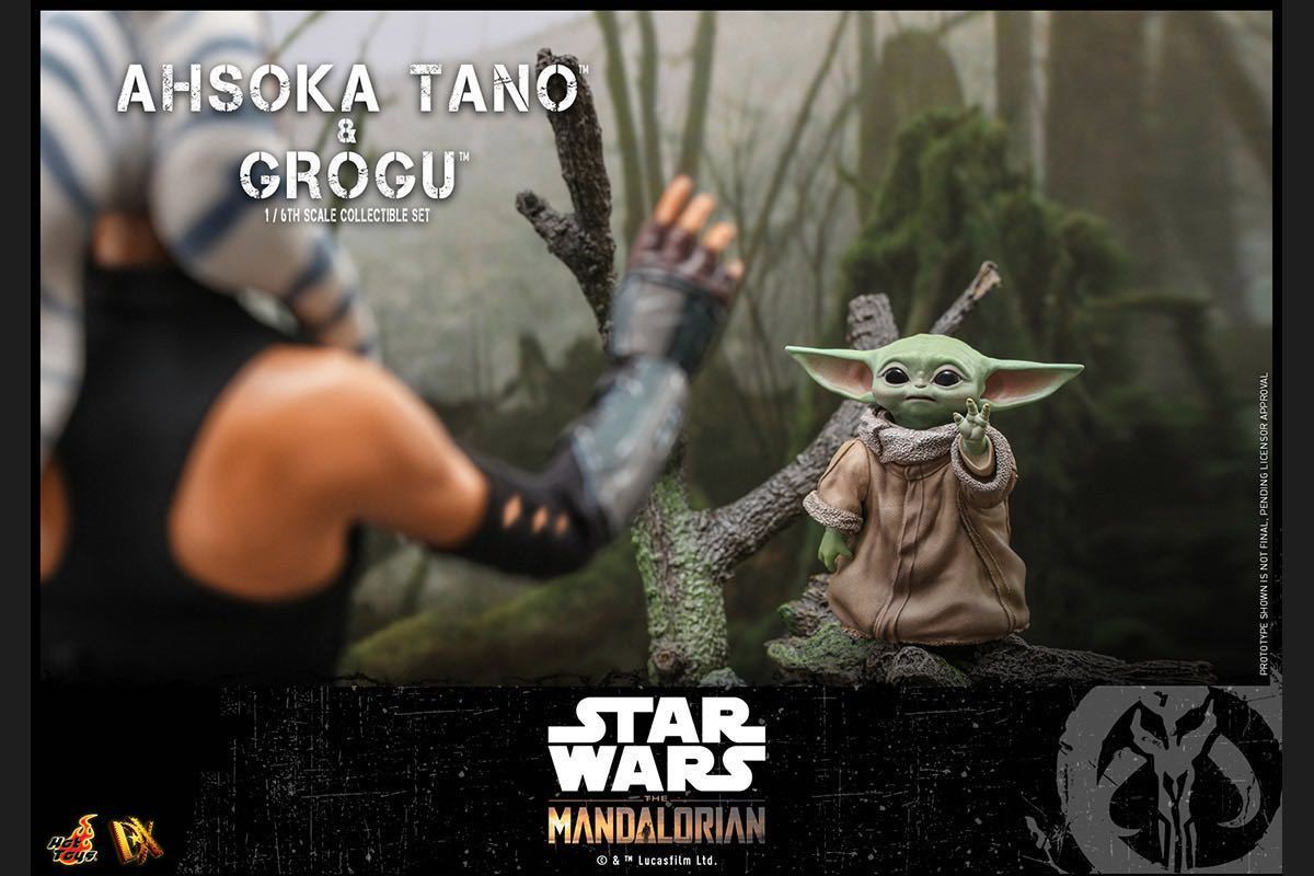 アソーカ・タノ&グローグー 1/6スケールアクションフィギュア」ホット