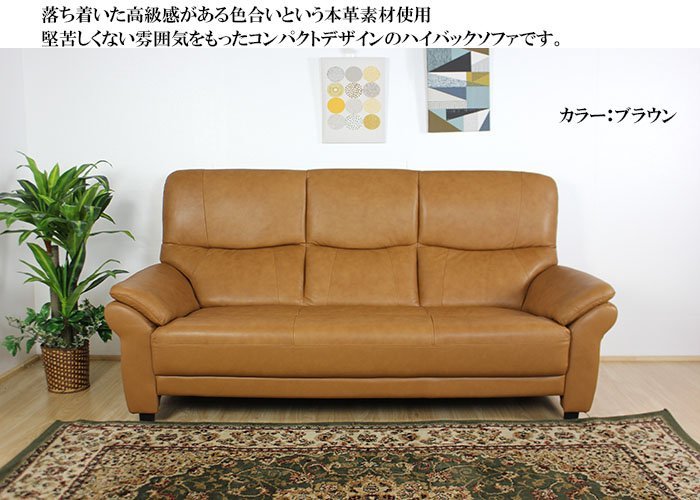送料・設置無料・3年保証】背脱着式高級本革3人掛けソファ ブラウン