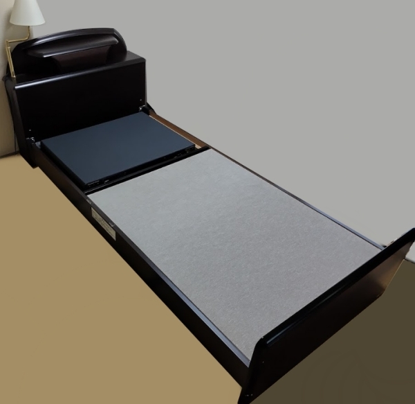 ☆FRANCE BED/フランスベッド ファルドR/FL-RX1 電動リクライニング