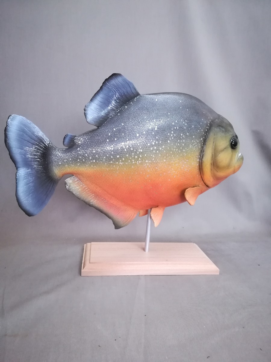 ●ハンドメイド 38cmピラニア 魚模型 古代魚 熱帯魚 フィギュア レプリカ fish craft REAL