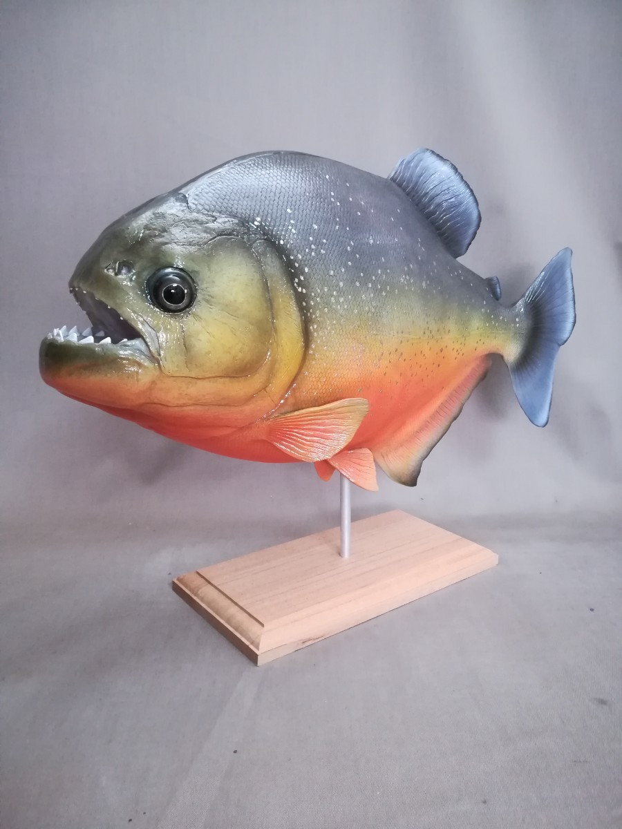 ●ハンドメイド 38cmピラニア 魚模型 古代魚 熱帯魚 フィギュア レプリカ fish craft REAL