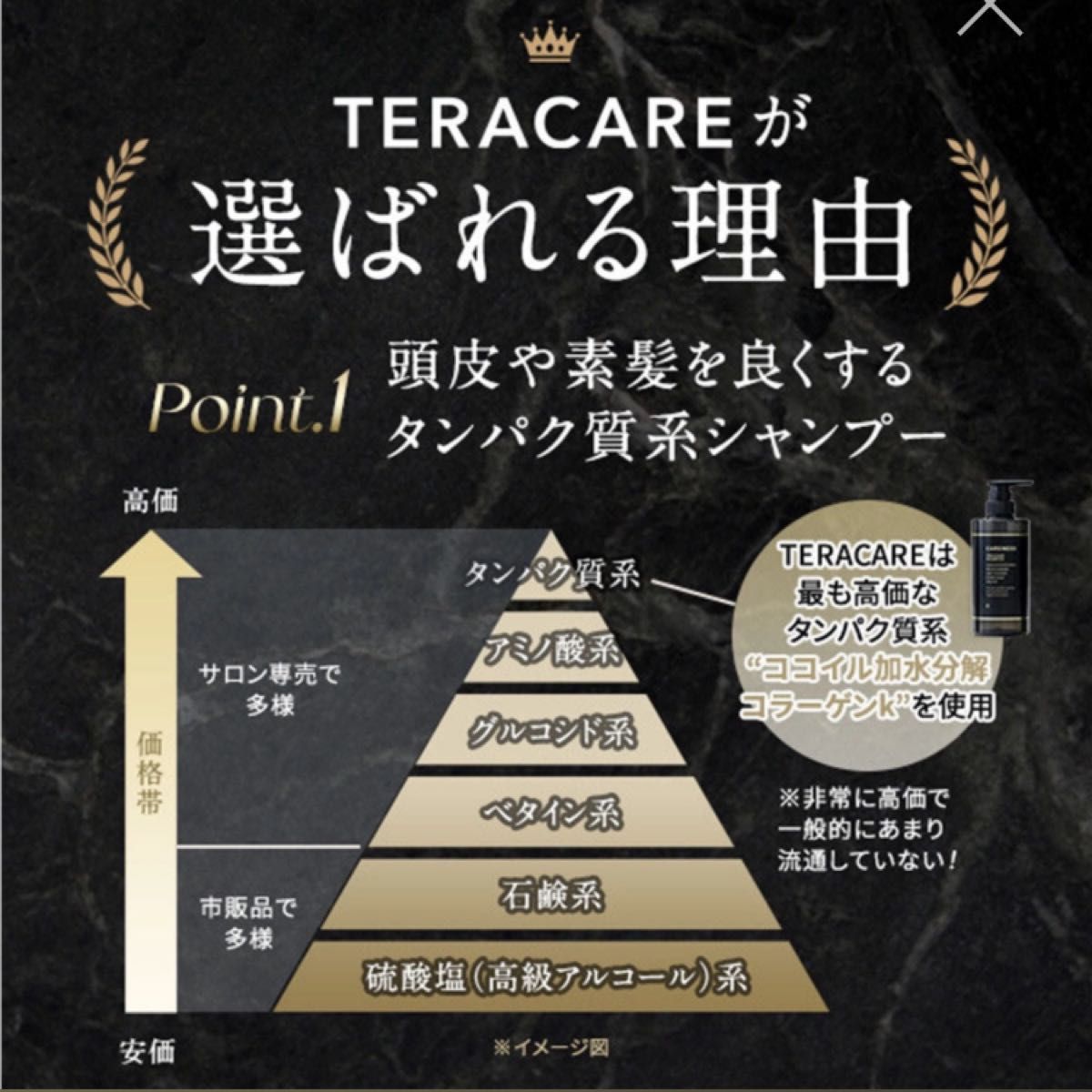 テラケア シャンプー&トリートメント詰め替え用セット(合計1000×2つ)