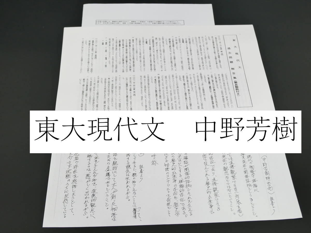駿台 中野芳樹先生 18年度直前期 阪大プレ現代文 講義解説 駿台 駿台 中野芳樹先生 18年度直前期 阪大プレ現代文 講義解説 駿台