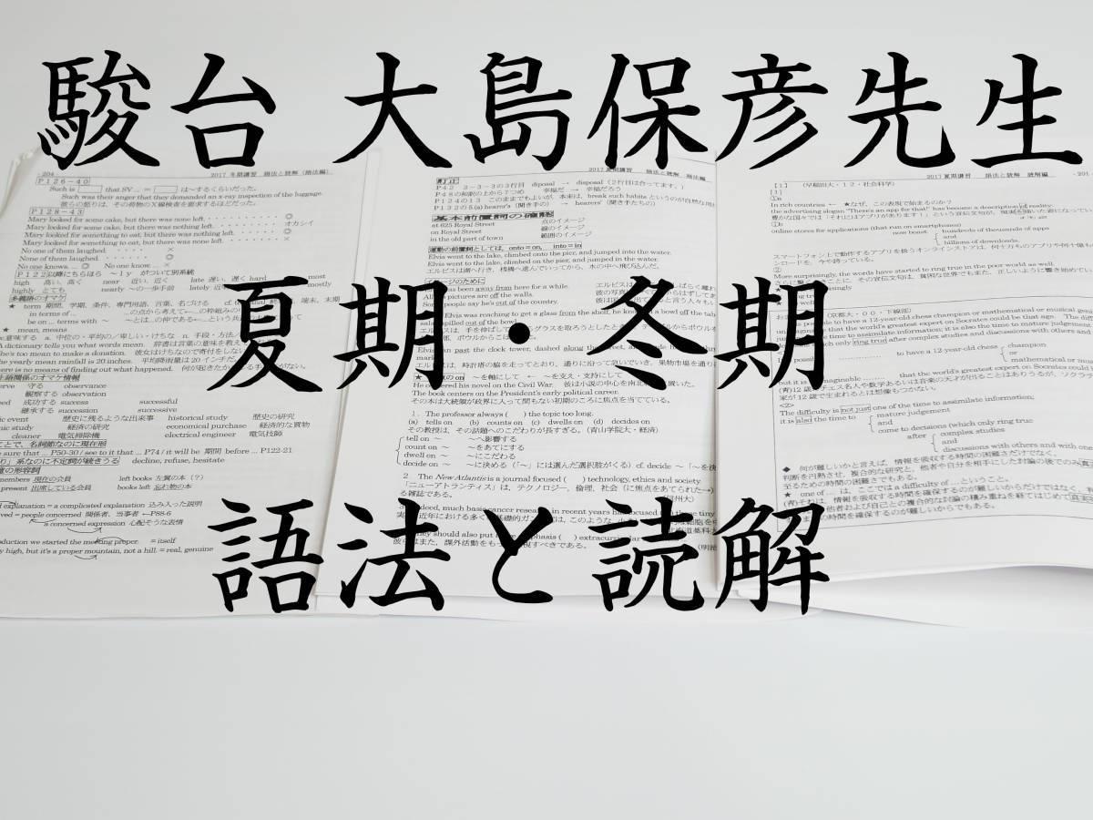 駿台　大島保彦先生　語法と読解（夏に架ける橋）　語法と読解（冬に築く砦）　講義プリント集　鉄緑会　河合塾　SEG