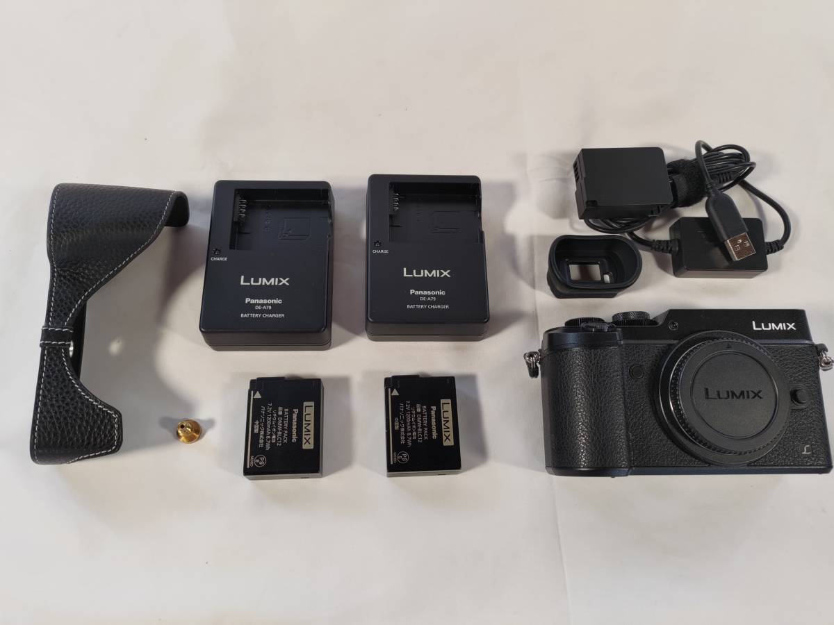 美品】 Panasonic LUMIX DMC-GX8 おまけ付き