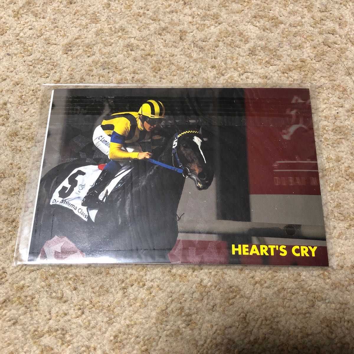 JRA 非売品 ミニDVD有馬記念 万年カレンダー ポストカード&しおり