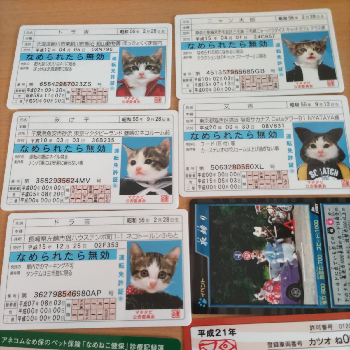 ○なめんなよ なめ猫 カードコレクション 昔懐かしいなめ猫 免許証