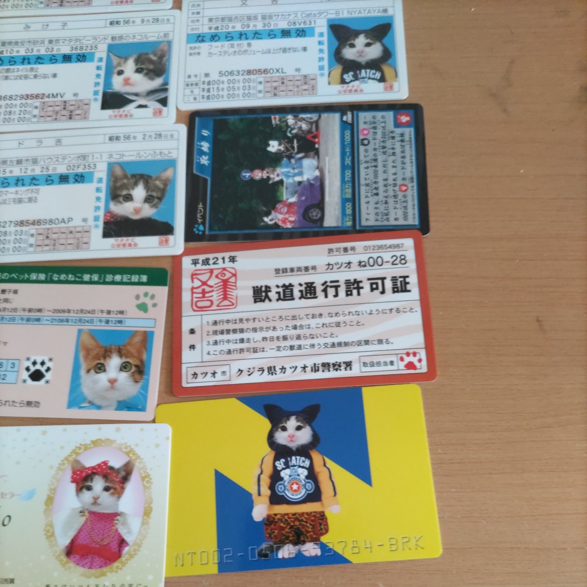 ○なめんなよ なめ猫 カードコレクション 昔懐かしいなめ猫 免許証