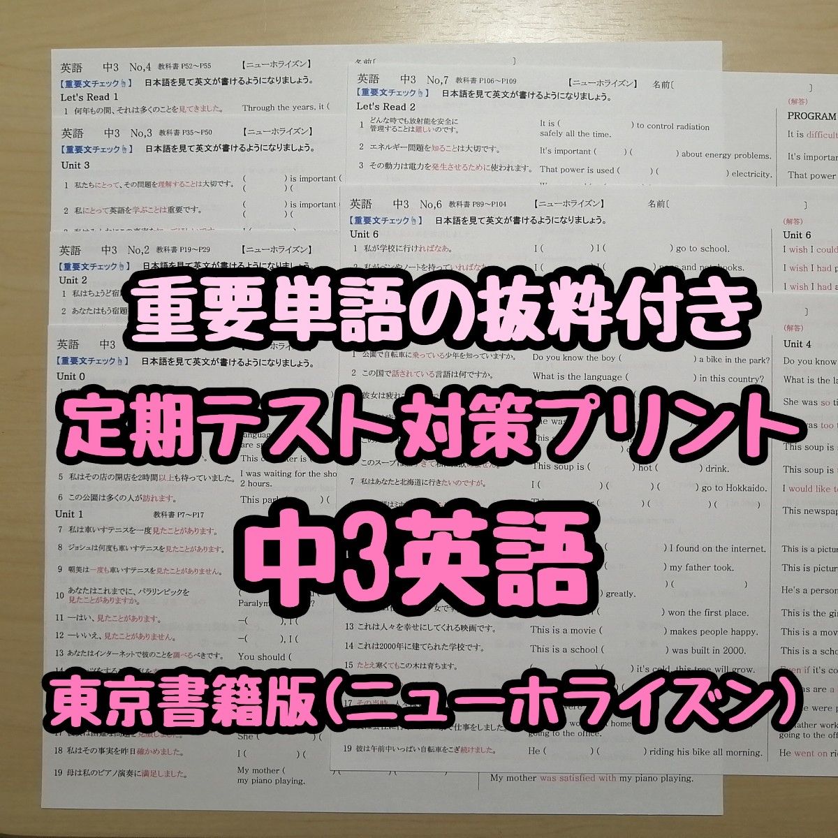 英語定期テスト対策(単語抜粋付き)(中3)　(ニューホライズンR5&6年度版)