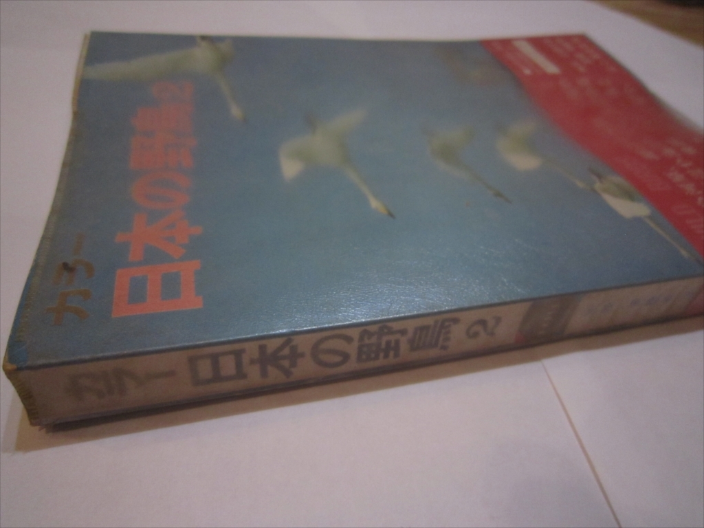 カラー　日本の野鳥　2　山と渓谷社 初版 昭和45年8月1日発行 山渓カラーガイド 37 発行者　川崎吉蔵_画像2