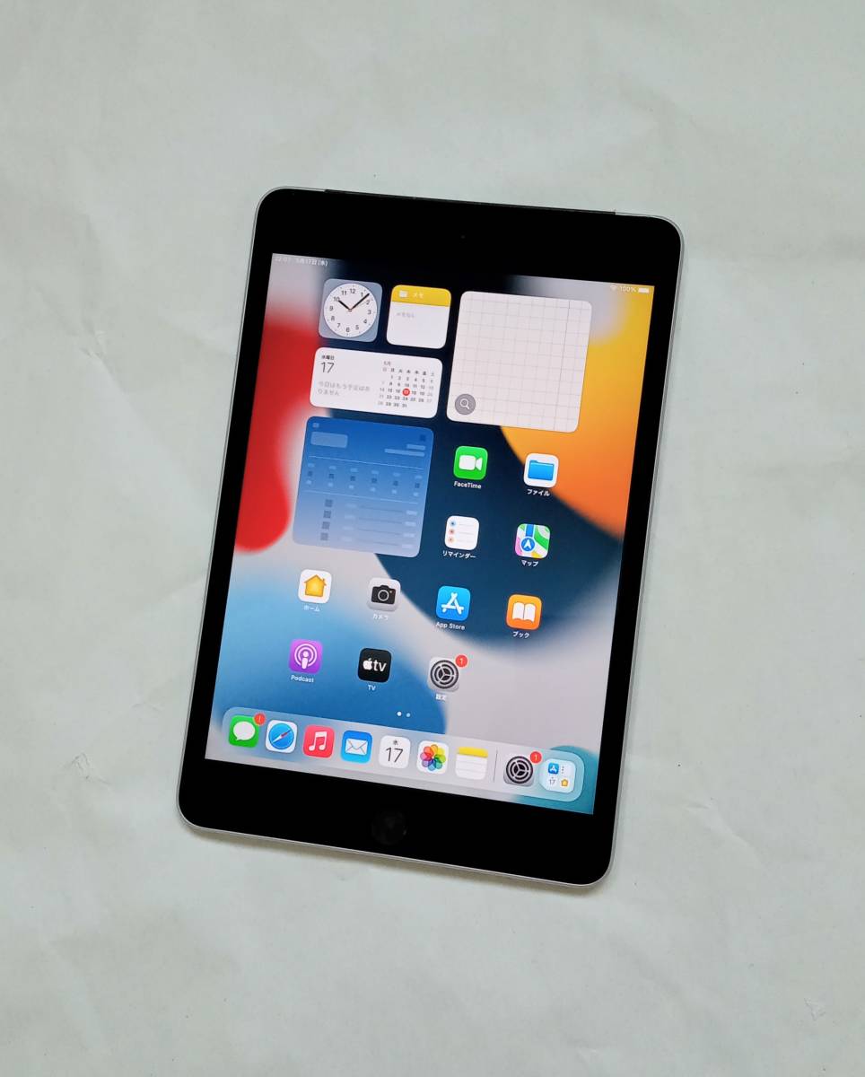 送料無料 iPad mini4 SIMフリー 64GB スペースグレイ Wi-Fi+Cellular
