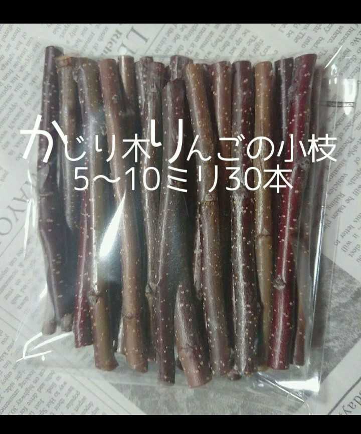 かじり木りんごの極細枝80本 - 通販 - guianegro.com.br