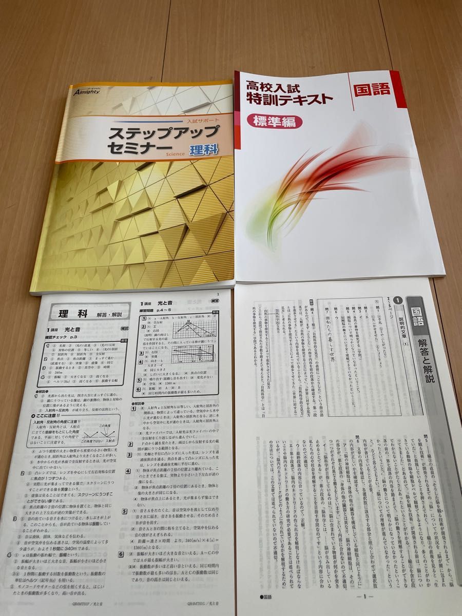 ★2冊セット★ステップアップセミナー理科・高校入試特訓テキスト国語標準編