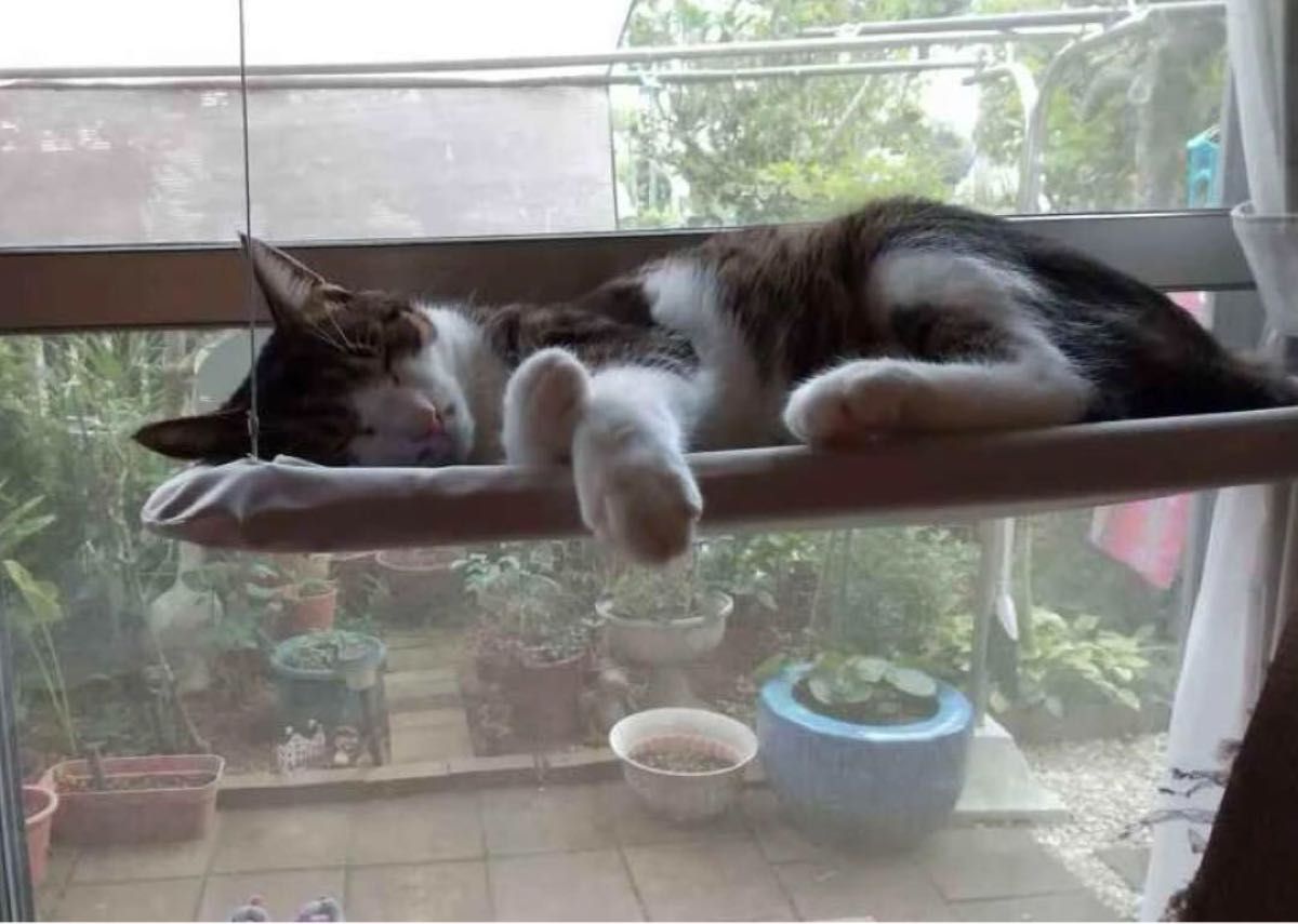 【新品】ペットハンモック ペットベット 猫 キャット 折り畳み式 窓用 猫窓ベット 耐荷重 10kg ストレス解消 猫用ハンモック