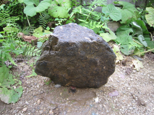 . wave stone garden stone garden tsubo garden flower . gardening garden tree bonsai stone gardening . stone ⑨