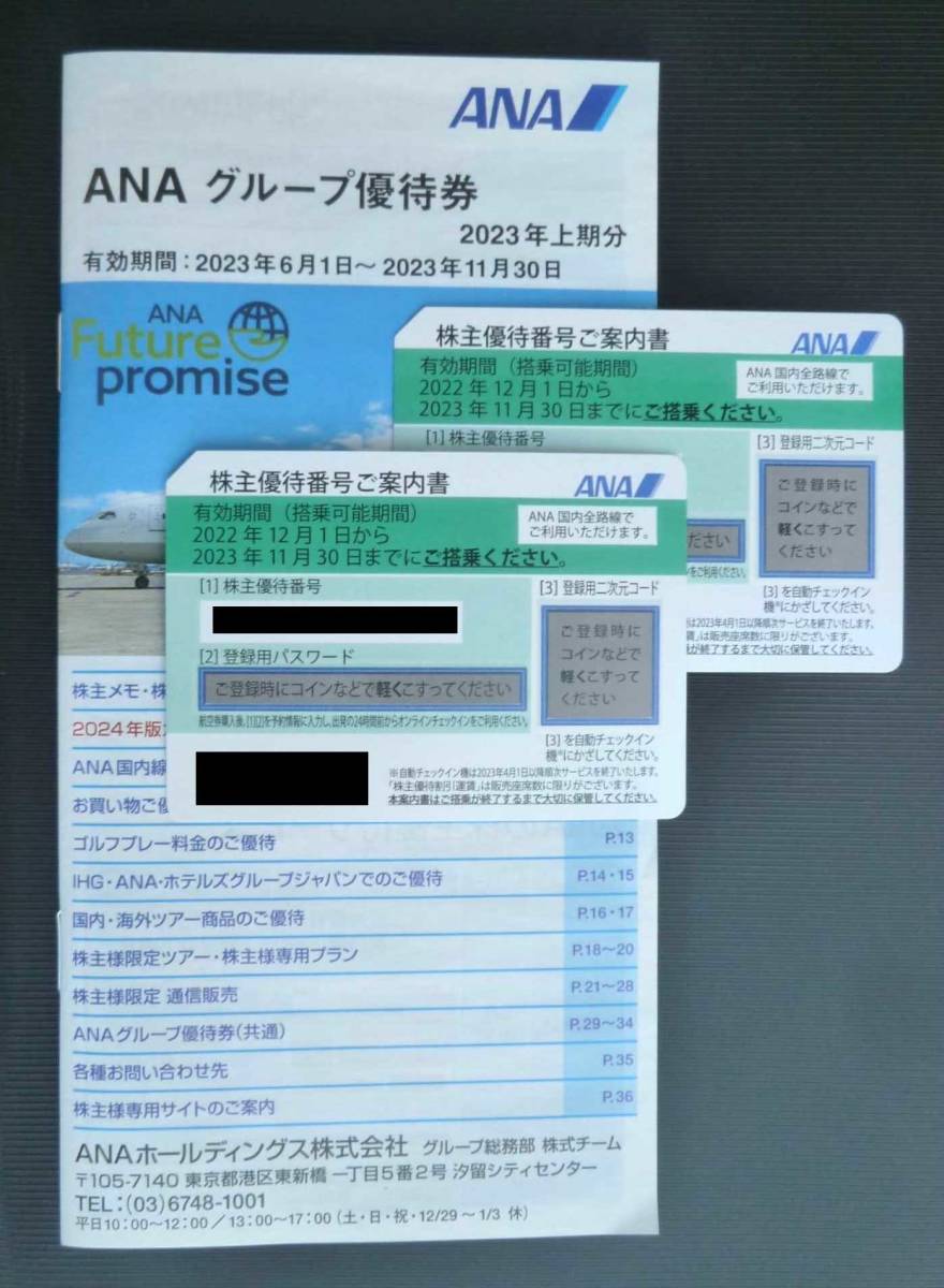 ANA 株主特別優待券2枚＋グループ優待券1冊 送料無料(追跡有り)_写真は一部加工してあります。