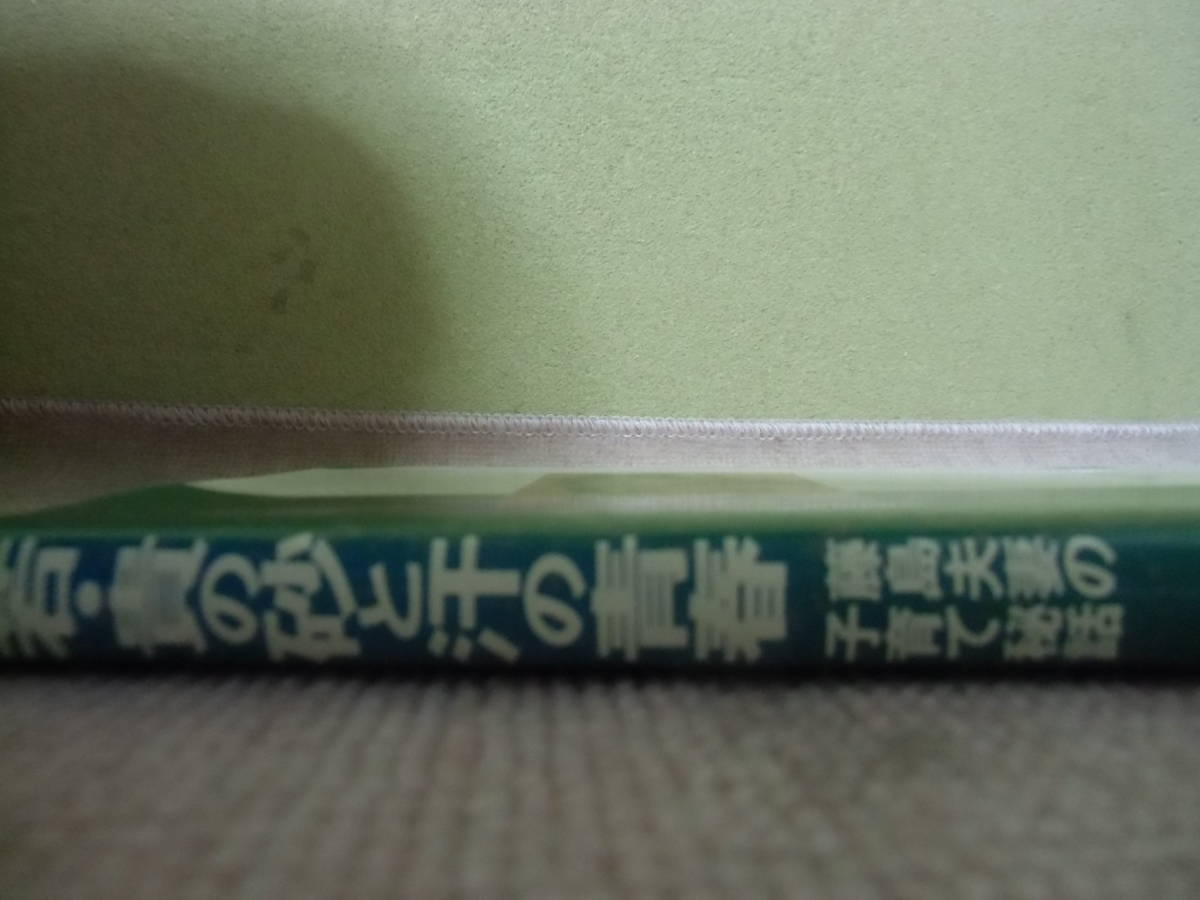 羽ばたけ土俵のヒーロー　若・貴の砂と汗の青春　藤島夫妻の子育て秘話　中古　本_画像3