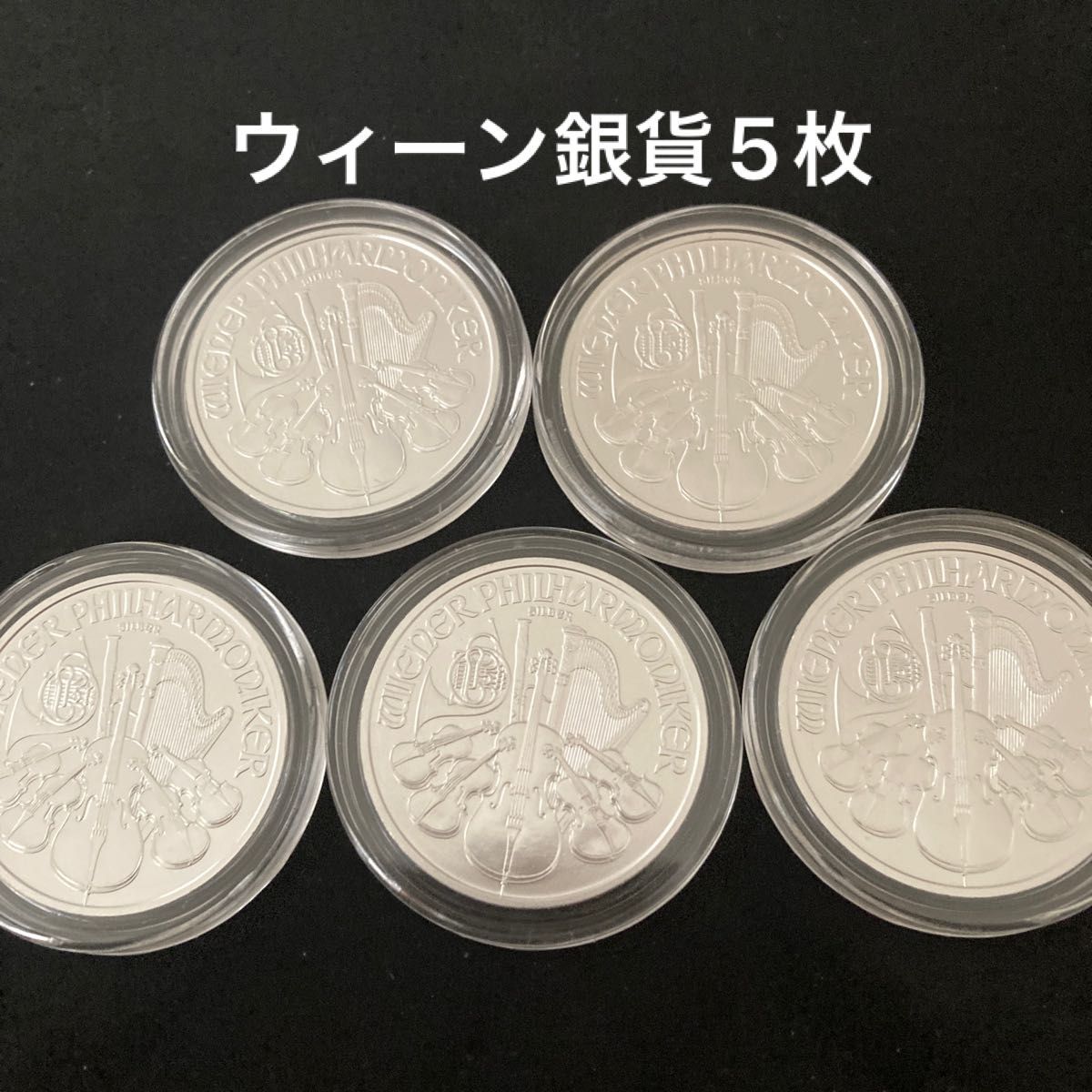 ウィーン 銀貨 1オンス 5枚 | noonanwaste.com